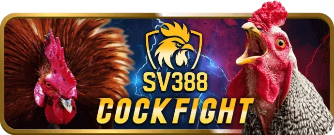 Hướng dẫn chơi Baccarat tại 78wib casino